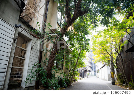 緑のある路地裏 136067496