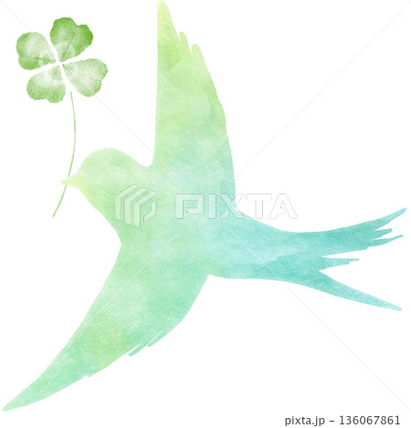 幸せの青い鳥 クローバー 水彩タッチのイラスト 希望と幸運の象徴|鳥,青い鳥,クローバー,水彩 幸せの青い鳥 クローバー 水彩タッチのイラスト 希望と幸運の象徴|鳥,青い鳥,クローバー,水彩 136067861