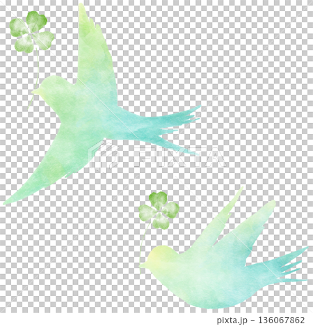 幸せの青い鳥 クローバー 水彩タッチのイラスト 希望と幸運の象徴|鳥,青い鳥,クローバー,水彩 幸せの青い鳥 クローバー 水彩タッチのイラスト 希望と幸運の象徴|鳥,青い鳥,クローバー,水彩 136067862