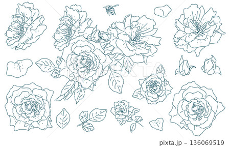 薔薇のラフスケッチ(透過性のラインアート) 薔薇のラフスケッチ(透過性のラインアート) 136069519