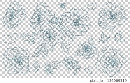 薔薇のラフスケッチ(透過性のラインアート) 薔薇のラフスケッチ(透過性のラインアート) 136069519