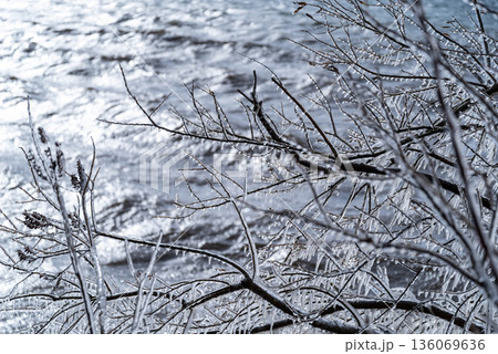 枝についたしぶき氷ときらめく湖面　b-1 136069636