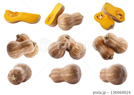 Pumpkin Butternut Squash isolated on a white background Pumpkin Butternut Squash isolated on a white background 136069824