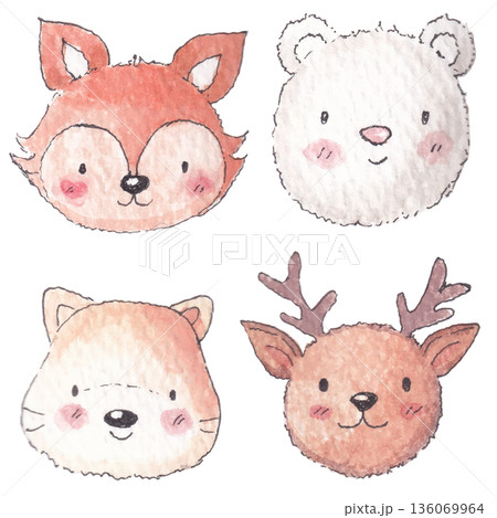 Watercolor Painting Woodland Animal Illustration 136069964
