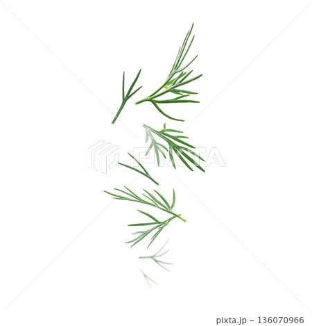 Green sprigs of dill levitate on a white background Green sprigs of dill levitate on a white background 136070966