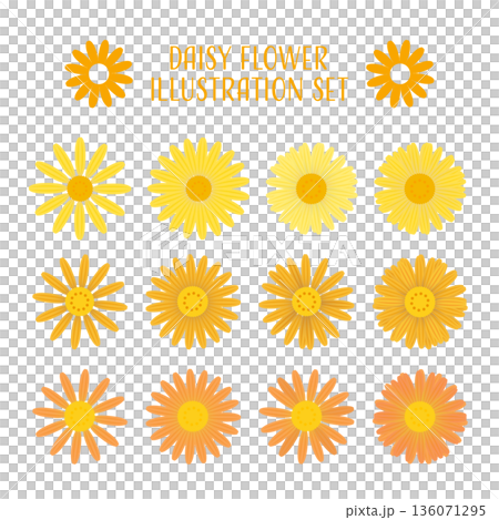 黃色雛菊矢量圖集。 136071295