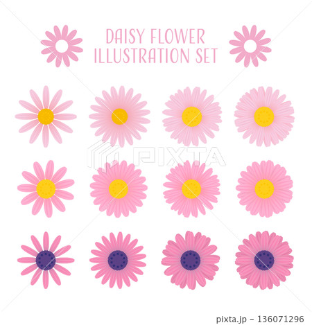 ピンク系デイジーの花のベクターイラストレーションセット。 136071296