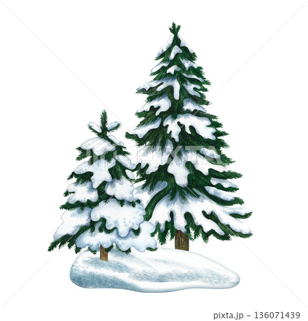 Winter spruces. Hand-drawn watercolor illustration of two snow-covered winter spruces. Isolate. Design element for festive Christmas greeting cards, posters, banners, packaging, and more. 136071439