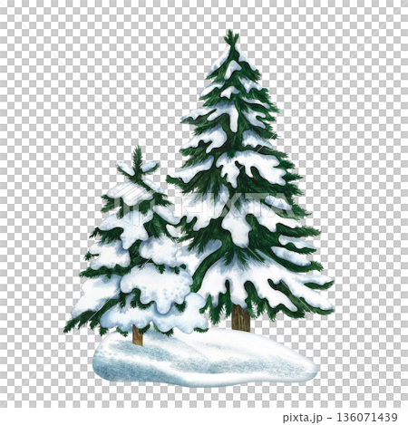 Winter spruces. Hand-drawn watercolor illustration of two snow-covered winter spruces. Isolate. Design element for festive Christmas greeting cards, posters, banners, packaging, and more. 136071439