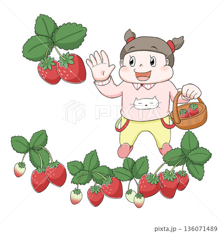 いちご狩りをする女の子 いちご狩りをする女の子 136071489