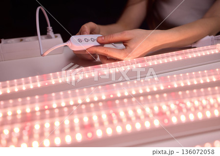 Hands finetuning hydroponic system, Adjusting grow lights for indoor plant growth, Technician meticulously configuring lighting and controls for indoor plant cultivation system 136072058