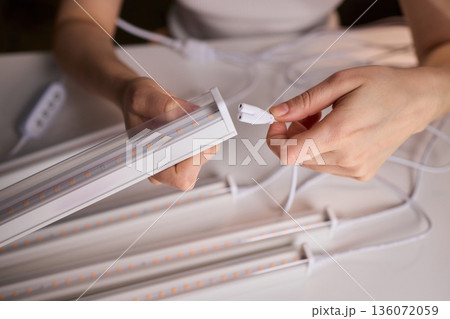 Technician setting up, Horticultural specialist assembling lighting strips for cultivation space, Careful connector placement by technician during indoor garden lighting setup 136072059