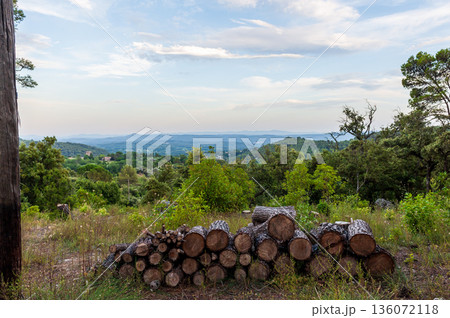 Evening in Cotignac 136072118