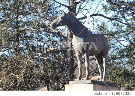 埼玉県東松山市の神岡馬頭観世音の午の像 埼玉県東松山市の神岡馬頭観世音の午の像 136072320