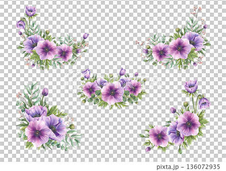 Purple Anemone flowers with eucalyptus plant branches bouquets set. Watercolor semicircular, oval, long, and triangular floral designs for greeting, wedding card. Isolated hand painted illustration 136072935