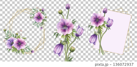 Watercolor purple Anemones flowers with leaves and eucalyptus green branch frame golden set. Save the date, Valentines day, wedding card template. Isolated on white background hand drawn illustration. Watercolor purple Anemones flowers with leaves and eucalyptus green branch frame golden set. Save the date, Valentines day, wedding card template. Isolated on white background hand drawn illustration. 136072937