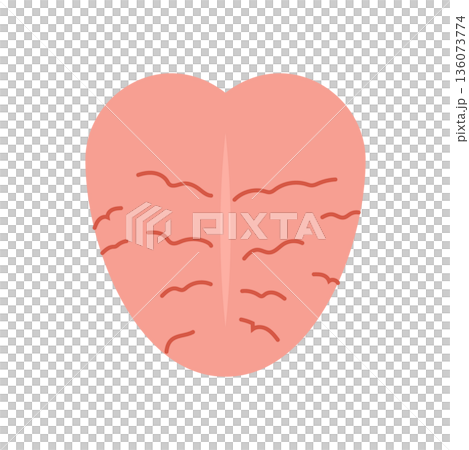 cracked tongue 136073774