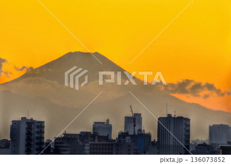 夕焼けのビル群と富士山 夕焼けのビル群と富士山 136073852