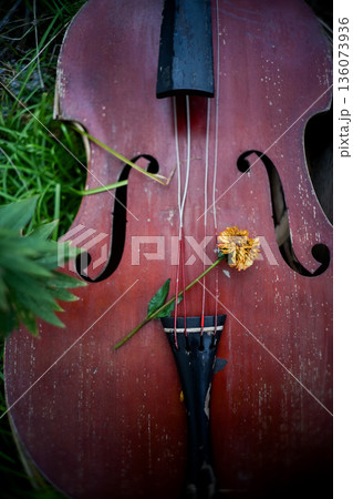 荒廃した場所の壊れた弦楽器 荒廃した場所の壊れた弦楽器 136073936