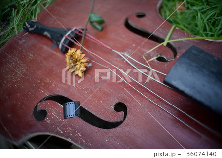 荒廃した場所の壊れた弦楽器と枯れた花 荒廃した場所の壊れた弦楽器と枯れた花 136074140