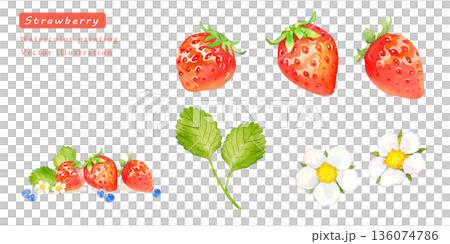 Watercolor strawberry vector illustration set 136074786