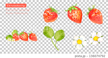 水彩で描いたイチゴのベクターイラストセット 136074792
