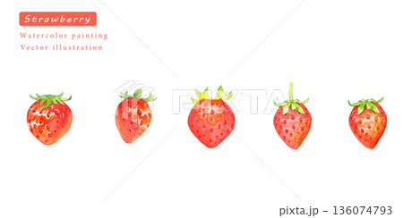 水彩で描いたイチゴのベクターイラストセット 136074793