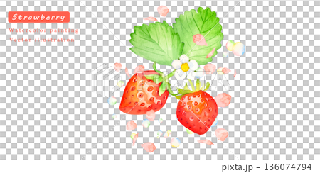水彩草莓向量插圖背景素材 水彩草莓向量插圖背景素材 136074794