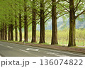 新緑のメタセコイヤ並木道 136074822