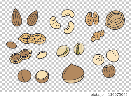 Hand-drawn illustration set of various nuts 136075043