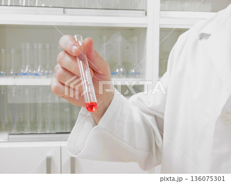 Chemist Inspecting Glass Test Tube With Red Liquid, CloseUp HandHeld Sample Review At Laboratory Bench, Chemist Inspecting Glass Test Tube With Red Liquid, CloseUp HandHeld Sample Review At Laboratory Bench, 136075301