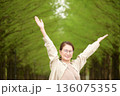 新緑のメタセコイヤ並木道 136075355