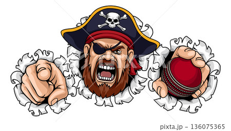 Pirate Cricket Ball Sport Team Mascot Illustration Pirate Cricket Ball Sport Team Mascot Illustration 136075365