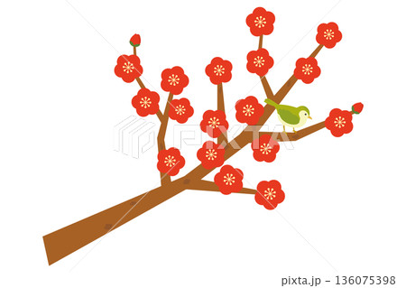 梅の木とウグイスのイラスト 梅の木とウグイスのイラスト 136075398