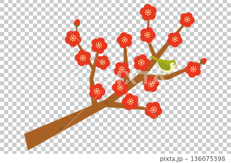 梅の木とウグイスのイラスト 梅の木とウグイスのイラスト 136075398