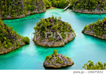 Beautiful views of the Raja Ampat Islands, West Papua, Indonesia Beautiful views of the Raja Ampat Islands, West Papua, Indonesia 136075652