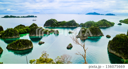Beautiful views of the Raja Ampat Islands, West Papua, Indonesia Beautiful views of the Raja Ampat Islands, West Papua, Indonesia 136075669