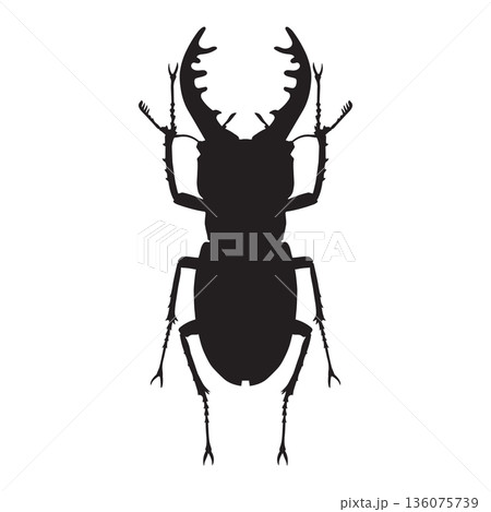 Stag Beetle Silhouette 136075739
