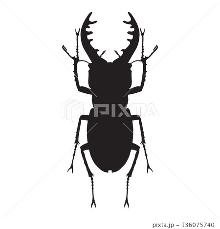 Stag Beetle Silhouette 136075740