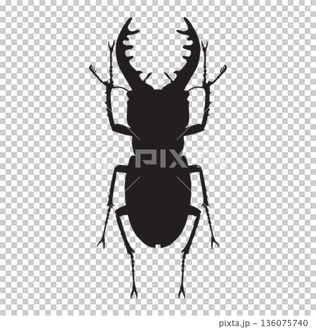 Stag Beetle Silhouette Stag Beetle Silhouette 136075740