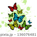 Butterfly. Vector illustration design 136076481