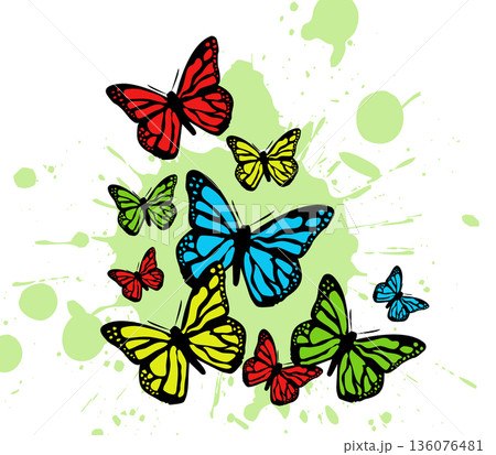Butterfly. Vector illustration design Butterfly. Vector illustration design 136076481