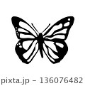 Butterfly. Vector illustration design 136076482
