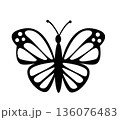 Butterfly. Vector illustration design 136076483