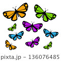 Butterfly. Vector illustration design 136076485