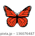 Butterfly. Vector illustration design 136076487