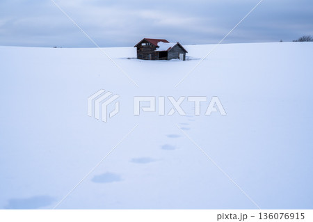 雪原に残る足跡と孤独な小屋が語る冬の静寂風景 雪原に残る足跡と孤独な小屋が語る冬の静寂風景 136076915