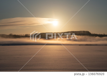 朝霧漂う冬の平原に昇る太陽が黄金色の光で包む北海道の静謐な風景写真素材 136076920