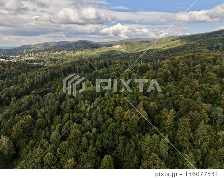 Broad Forested Landscape Near City Highlighting Ecological Corridors And Land Planning Opportunities Broad Forested Landscape Near City Highlighting Ecological Corridors And Land Planning Opportunities 136077331