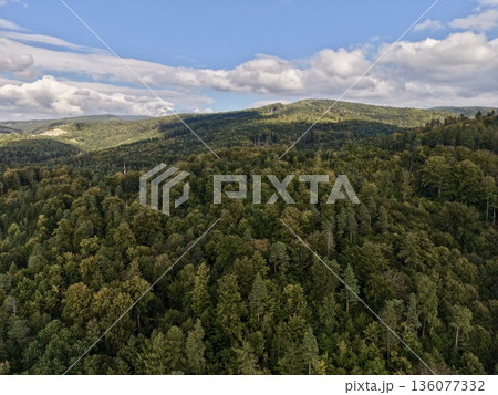 Expansive View Capturing Sunlit Rolling Timbered Ridges And Picturesque Scenery Suitable For Exploration Expansive View Capturing Sunlit Rolling Timbered Ridges And Picturesque Scenery Suitable For Exploration 136077332